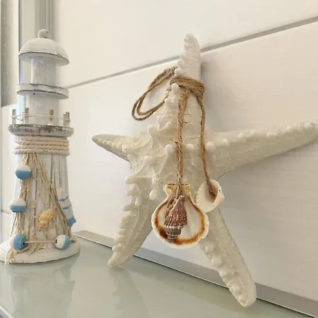 Modernes Mit Terrasse Und Garten